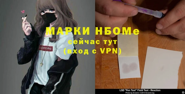 ГАЛЛЮЦИНОГЕННЫЕ ГРИБЫ Вязьма