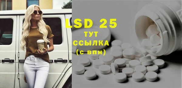 ГАЛЛЮЦИНОГЕННЫЕ ГРИБЫ Вязьма