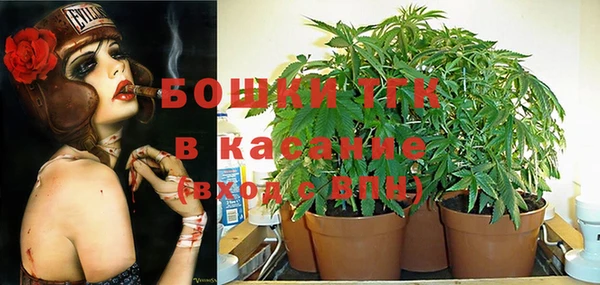 марки nbome Вяземский