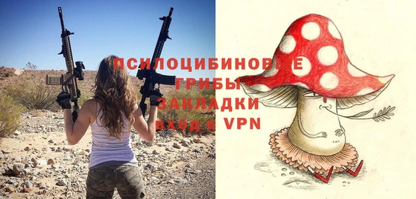 марки nbome Вяземский