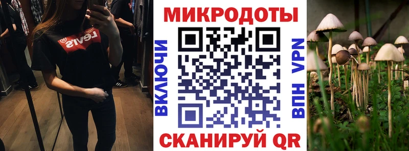 магазин    Калач  Галлюциногенные грибы ЛСД 